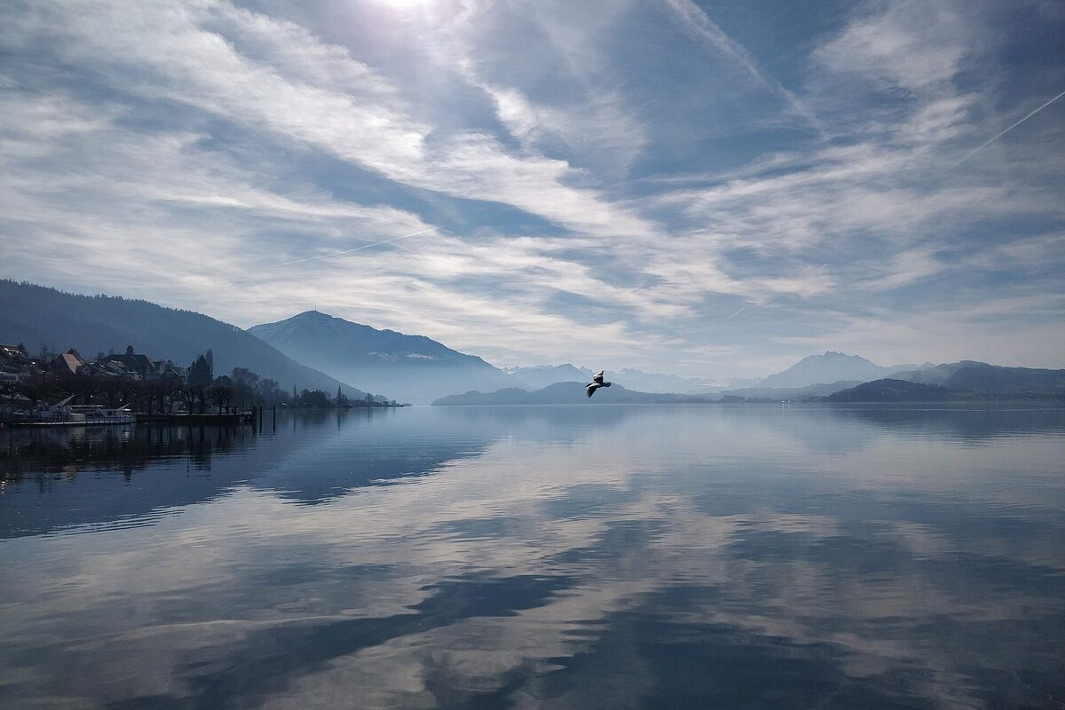 Der Zugersee an einem ruhigen Morgen